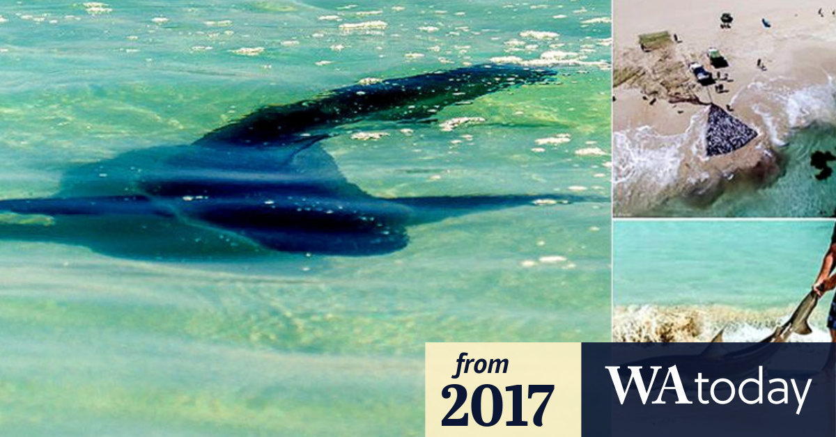 Shocked Yallingup swimmers flee water after Salmon bleeding sparks